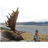 Image 1 : 5-day New Zealand Fallow Deer Hunt for Two Hunters and Two Observers