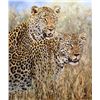 Image 2 : Two Original oil paintings