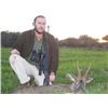 Image 1 : 5-day European Roe Deer and Wild Boar Hunt in Spain for One Hunter and One Observer