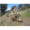 Image 2 : 5-day European Roe Deer and Wild Boar Hunt in Spain for One Hunter and One Observer