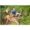Image 2 : 5-day New Zealand Silver-Medal Red Stag Hunt for One Hunter and One Observer