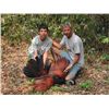 Image 3 : 7-day Campeche Jungle Hunt for Three Species for Two Hunters