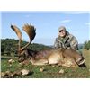 Image 2 : 5-day Spain Fallow Deer Hunt and Sightseeing Adventure for One Hunter and One Observer