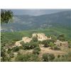 Image 3 : 5-day Spain Fallow Deer Hunt and Sightseeing Adventure for One Hunter and One Observer