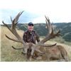 Image 2 : 5-day New Zealand Red Stag up to 425 SCI Hunt for One Hunter and One Observer