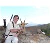 Image 2 : 7-day South Africa Plains Game Hunt for One Hunter and One Observer