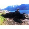 Image 1 : 5-day Vancouver Island Black Bear Hunt for One Hunter