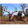 Image 2 : 4-day Trophy 8-Point Texas White-Tailed Deer Hunt for Two Hunters