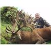 Image 1 : 5-day New Zealand Red Stag and Fallow Deer Hunt for Two Hunters