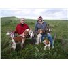 Image 3 : 7-day Alaska All-inclusive Wingshooting/fishing Trip for One