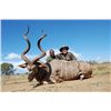 Image 1 : 10-day South Africa Plains Game Hunt for Two Hunters