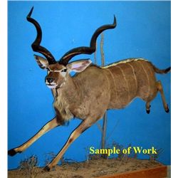 Custom Taxidermy Work