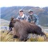 Image 1 : 5-day New Zealand free-ranging Tahr and Chamois Hunt for One Hunter and One Observer