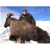 Image 3 : 5-day New Zealand free-ranging Tahr and Chamois Hunt for One Hunter and One Observer