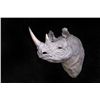 Image 2 : Black Rhino Wall Mount
