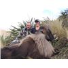 Image 1 : 5-day New Zealand Free Ranging Tahr Hunt for One Hunter and One Observer