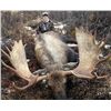 Image 1 : 10-day Trophy Yukon Moose Hunt for One Hunter