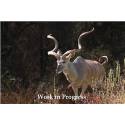 Original Acrylic on Canvas