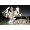 Image 1 : 5-day Ohio Northeastern White-Tailed Deer Hunt for Two Hunters and Two Observers