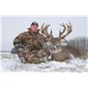 Image 1 : 10-day Alberta Whitetail Deer and Moose Hunt for One Hunter