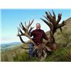 Image 1 : 5-day New Zealand Tahr, Chamois and Red Stag Hunt and One Shoulder Mount for Two Hunters