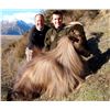 Image 2 : 5-day New Zealand Tahr, Chamois and Red Stag Hunt and One Shoulder Mount for Two Hunters
