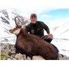 Image 3 : 5-day New Zealand Tahr, Chamois and Red Stag Hunt and One Shoulder Mount for Two Hunters