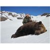 Image 2 : 10-day Kamchatka Brown Bear Hunt for One Hunter