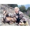 Image 1 : 5-day Spain Pyrenean Chamois Hunt and Wine Tasting and Sightseeing for 1 Hunter and 1 Observer