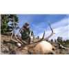 Image 2 : 8-day Montana Rocky Mountain Elk, Mule Deer and Wolf Hunt for One Hunter