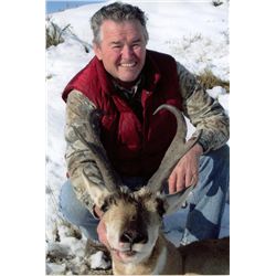 2-day Wyoming Pronghorn Hunt for One Hunter and One Observer