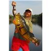 Image 1 : 7-day Amazon Peacock Bass Adventure for One Angler