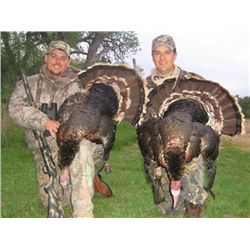 3-day Nebraska Merriam or Rio Grande Turkey Hunt for Two Hunters