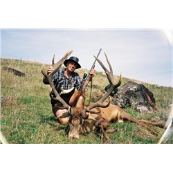 5-day New Zealand Free-Ranging Red Stag Hunt for One Hunter and One Observer