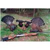 Image 1 : 5-day Russia Capercaille, Black Grouse and Woodcock Hunt for One Hunter and One Observer