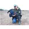Image 2 : 5-day Russia Capercaille, Black Grouse and Woodcock Hunt for One Hunter and One Observer