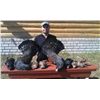 Image 3 : 5-day Russia Capercaille, Black Grouse and Woodcock Hunt for One Hunter and One Observer