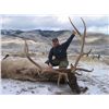 Image 1 : 5-day Montana Rocky Mountain Elk and Deer Hunt for One Hunter