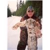 Image 1 : 5-day British Columbia Trapline Adventure for One Hunter
