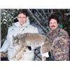 Image 2 : 5-day British Columbia Trapline Adventure for One Hunter