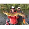 Image 1 : 5-day Saskatchewan Pike, Trout, Walleye and Grayline Fishing Trip for One Angler