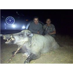 3-days Turkey Eurasian wild boar hunt and 2 days VIP sightseeing for 1 hunter and 1 observer