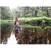 Image 3 : 5-day Alaskan Salmon, Halibut, Shrimp and Crab Adventure for One