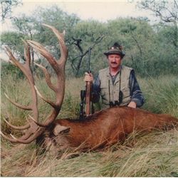 5-night/4-day Argentina Red Stag and Blackbuck Hunt for One Hunter and One Observer