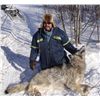 Image 1 : 5-day Yukon Trapline Adventure for One