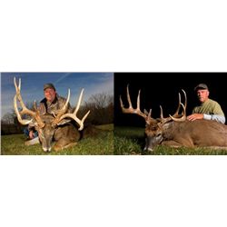 5-day Illinois Archery Northeastern White-Tailed Deer Hunt for One Hunter