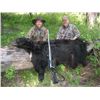 Image 2 : 5-day Idaho Archery Elk, Deer, Bear and Wolf Hunt for One Hunter
