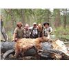 Image 3 : 5-day Idaho Archery Elk, Deer, Bear and Wolf Hunt for One Hunter