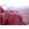 Image 1 : 5-day New Mexico Mountain Lion Hunt for One Hunter