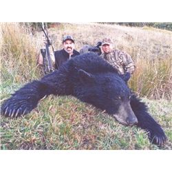 3-day California Black Bear Hunt for One Hunter